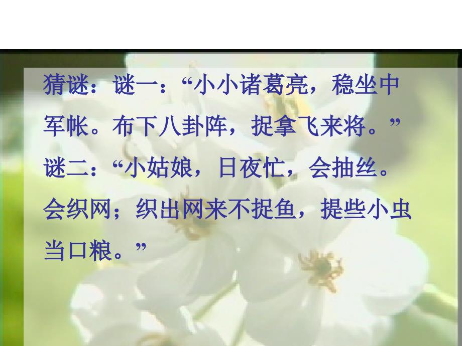 绿色蝈蝈课件精品教育_第1页