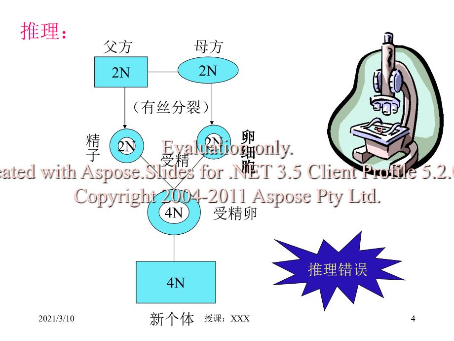 高中生物必修第章第节减数分裂和受精作用PPT参考课件_第4页