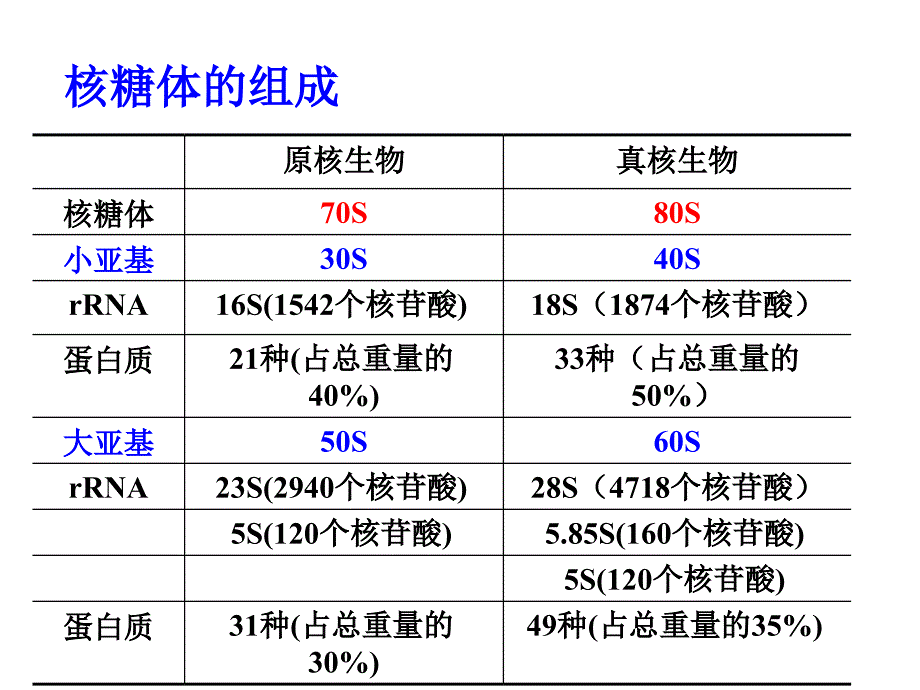 ch2生命活动基本单位细胞_第2页