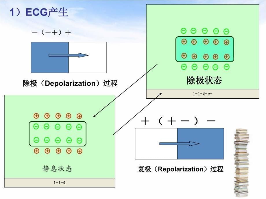 诊断学实验心电图教学_第5页