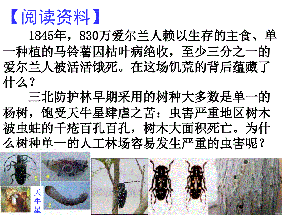 第二章认识生物的多样性(新人教版).ppt_第1页