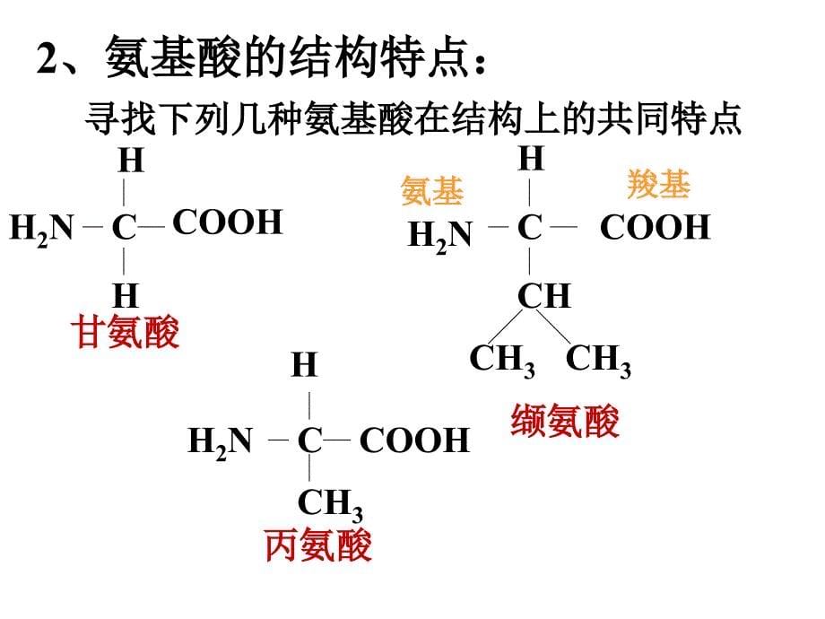 生命活动主要承担者1高一物_第5页