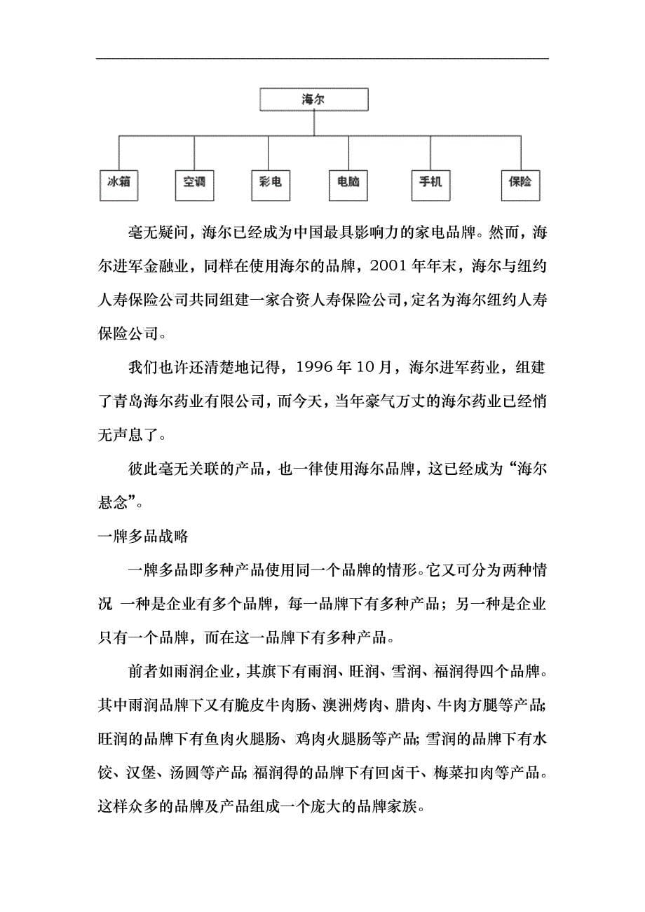 品牌战略规划_第5页