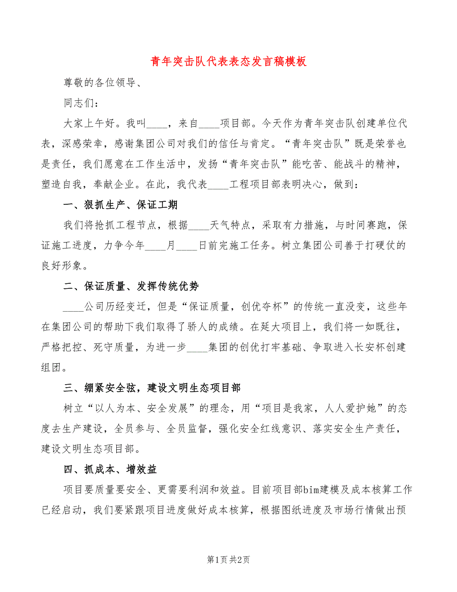 青年突击队代表表态发言稿模板_第1页