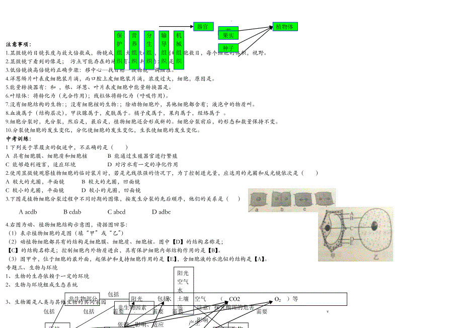 初中生物知识点结构网络图_第2页