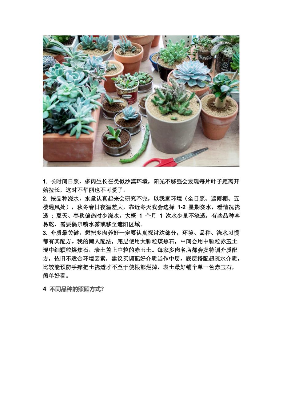 你的多肉植物为什么养不活.doc_第4页