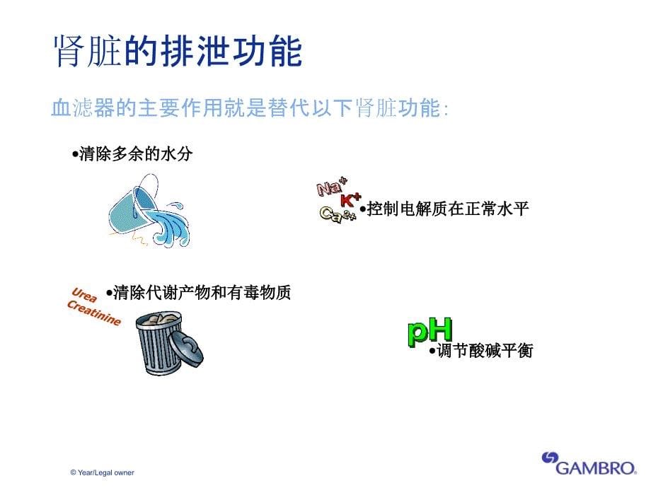 CRRT治疗滤器其技术_第5页