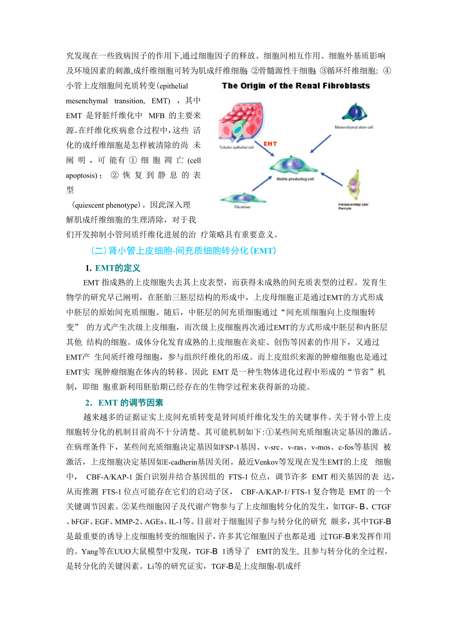 肾小管间质纤维化的发病机制及治疗进展_第2页