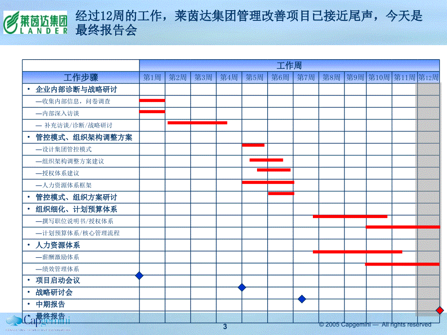 某集团战略支撑体系项目最终报告_第3页