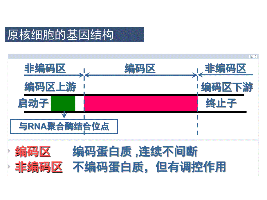 高三生物选修3第一章复习课件_第2页