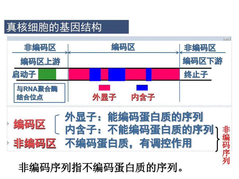 高三生物选修3第一章复习课件_第3页