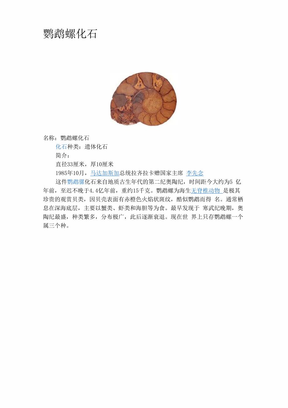 鹦鹉螺化石_第1页