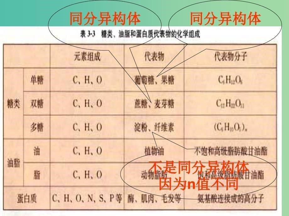 高中化学 3.4 基本营养物质课件2 新人教版必修2.ppt_第5页