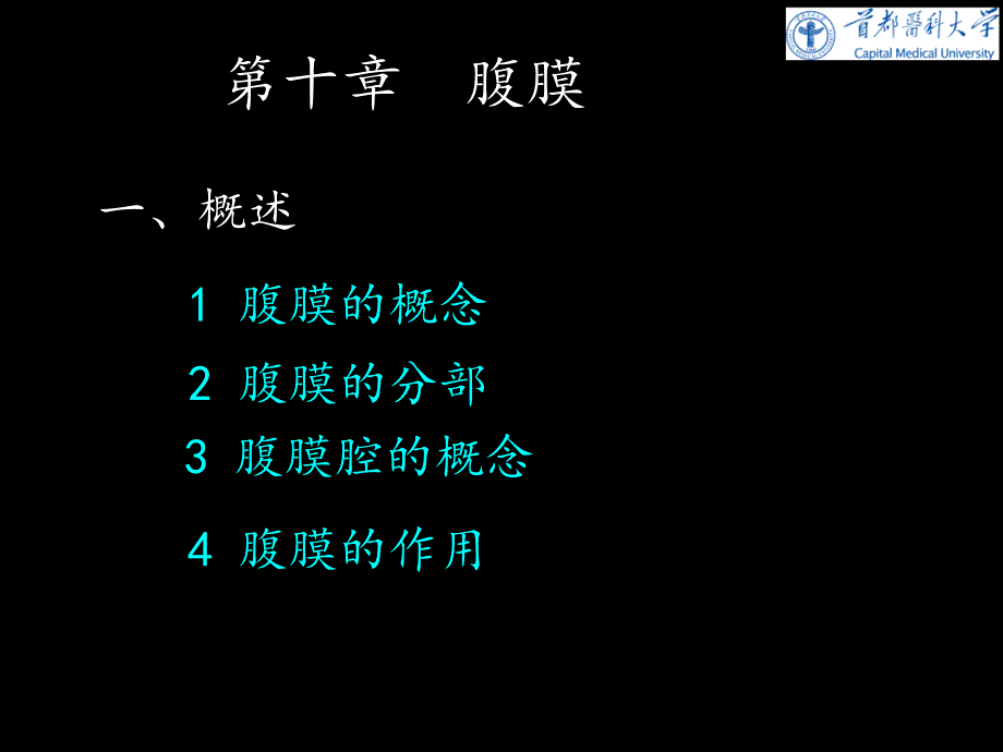 《人体系解剖学》教学课件：腹膜_第2页