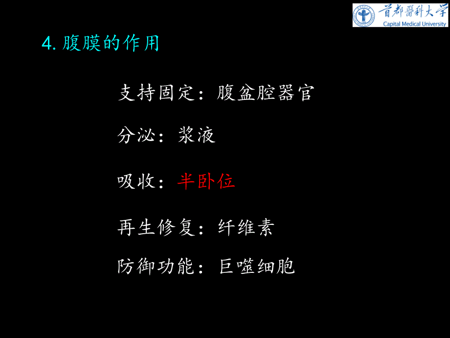 《人体系解剖学》教学课件：腹膜_第4页