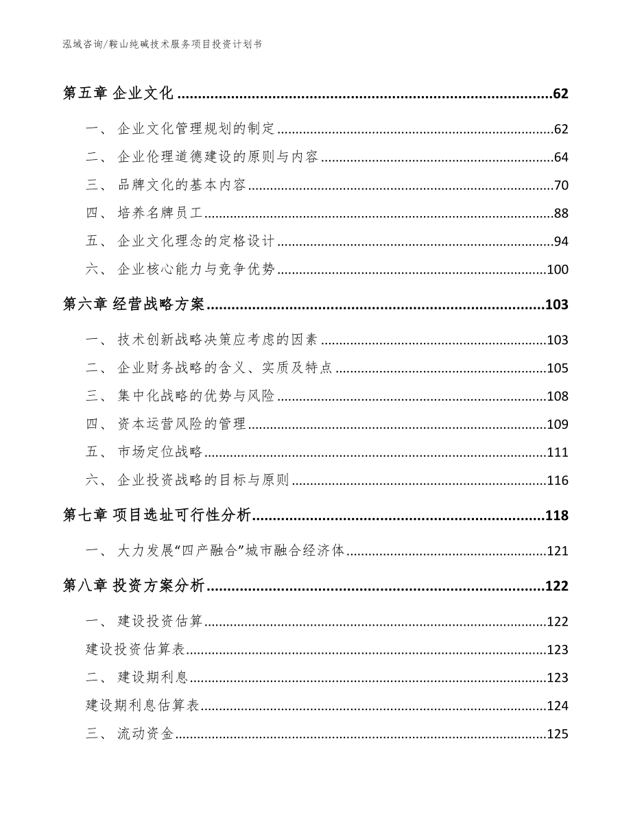 鞍山纯碱技术服务项目投资计划书_第4页