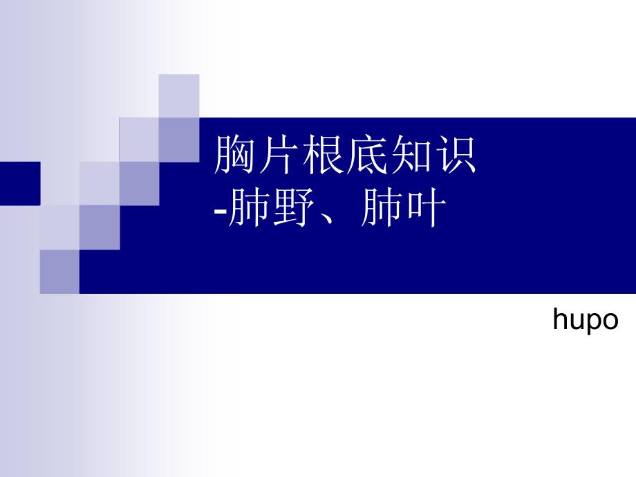 胸片基础知识肺野肺叶_第1页