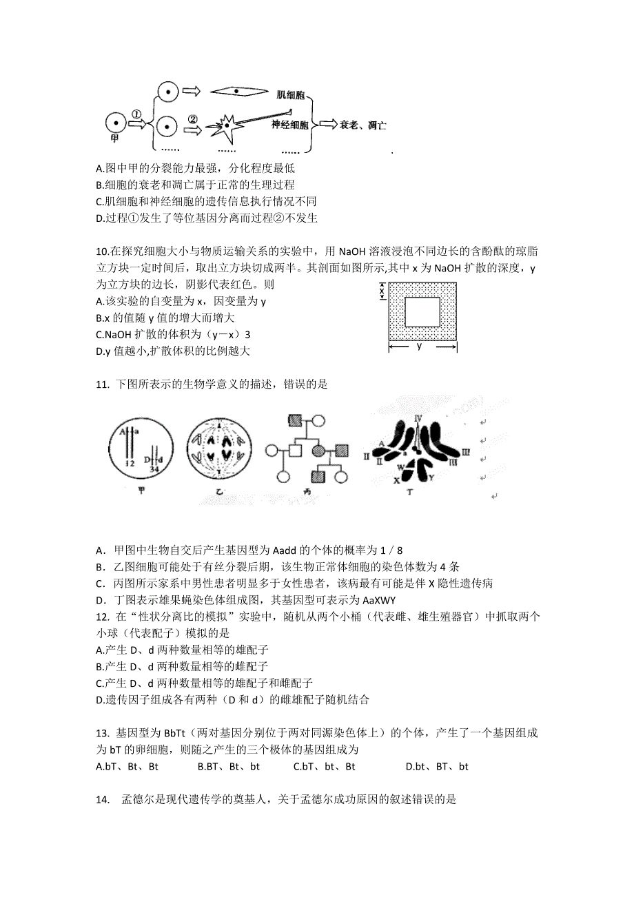 辽宁省大连市第三中学高一生物下学期期末考试试题.doc_第3页