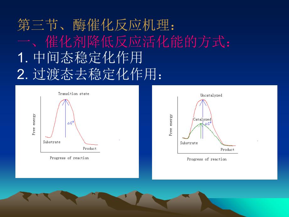 《酶作用的结构基础》课件_第4页