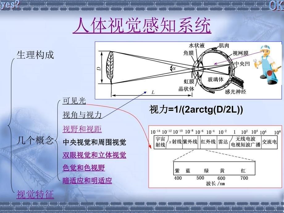 第三章人体感知与运动输出_第5页