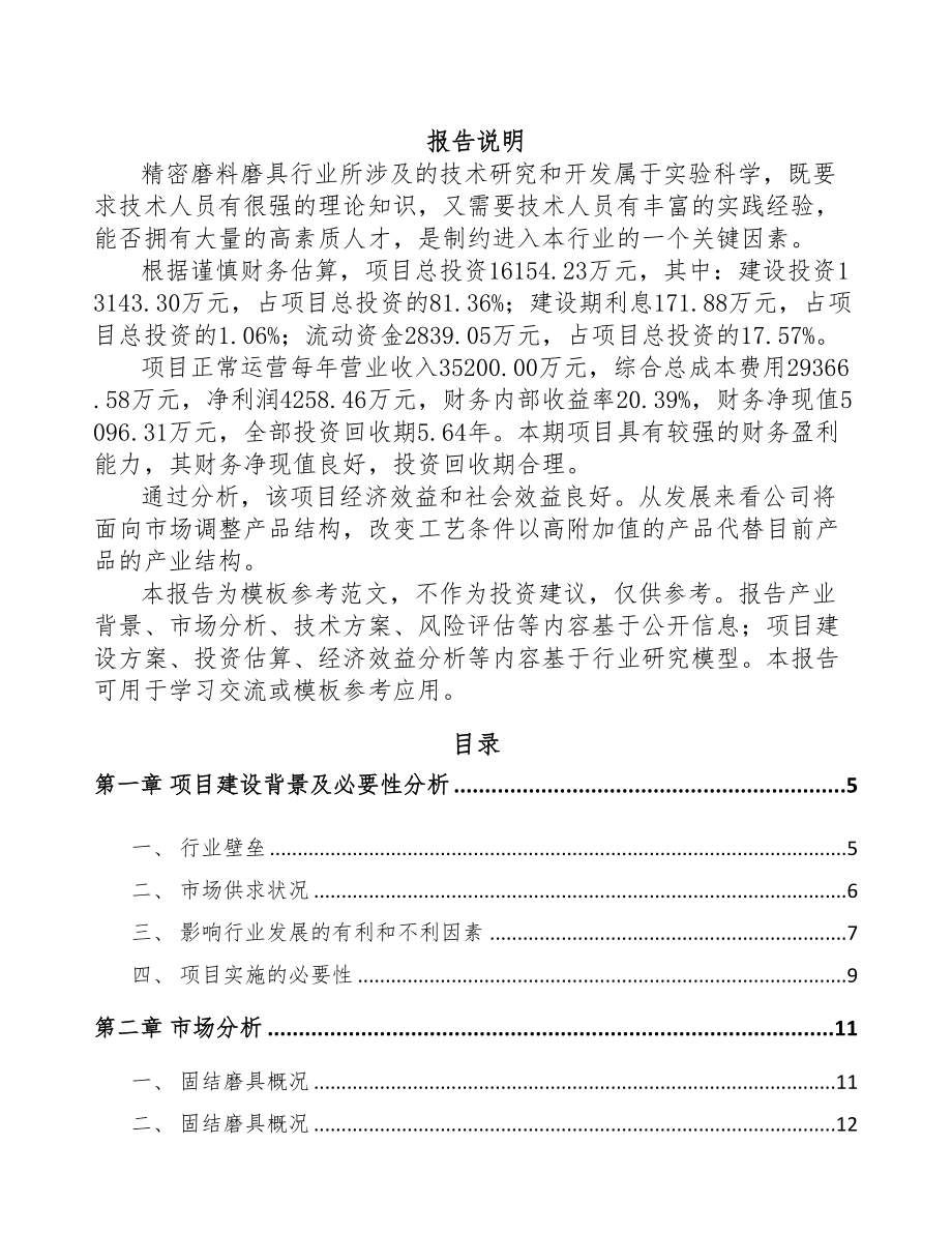 年产xxx吨抛光材料项目合作计划书(DOC 52页)_第1页