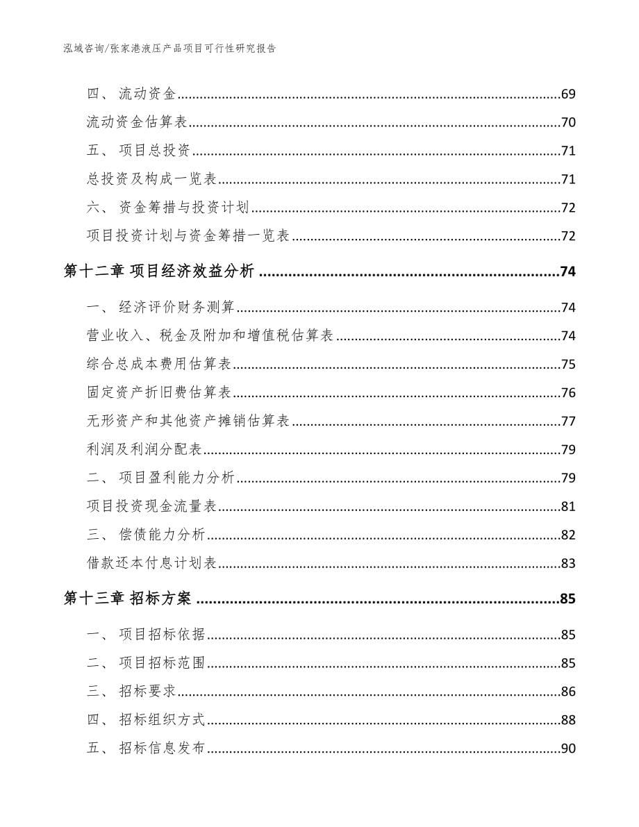 张家港液压产品项目可行性研究报告_第5页