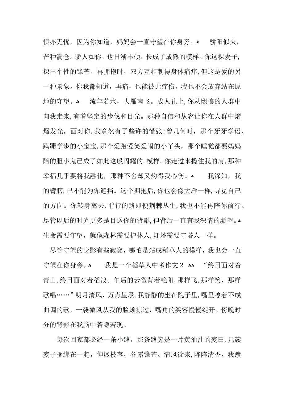 我是一个稻草人中考作文_第2页