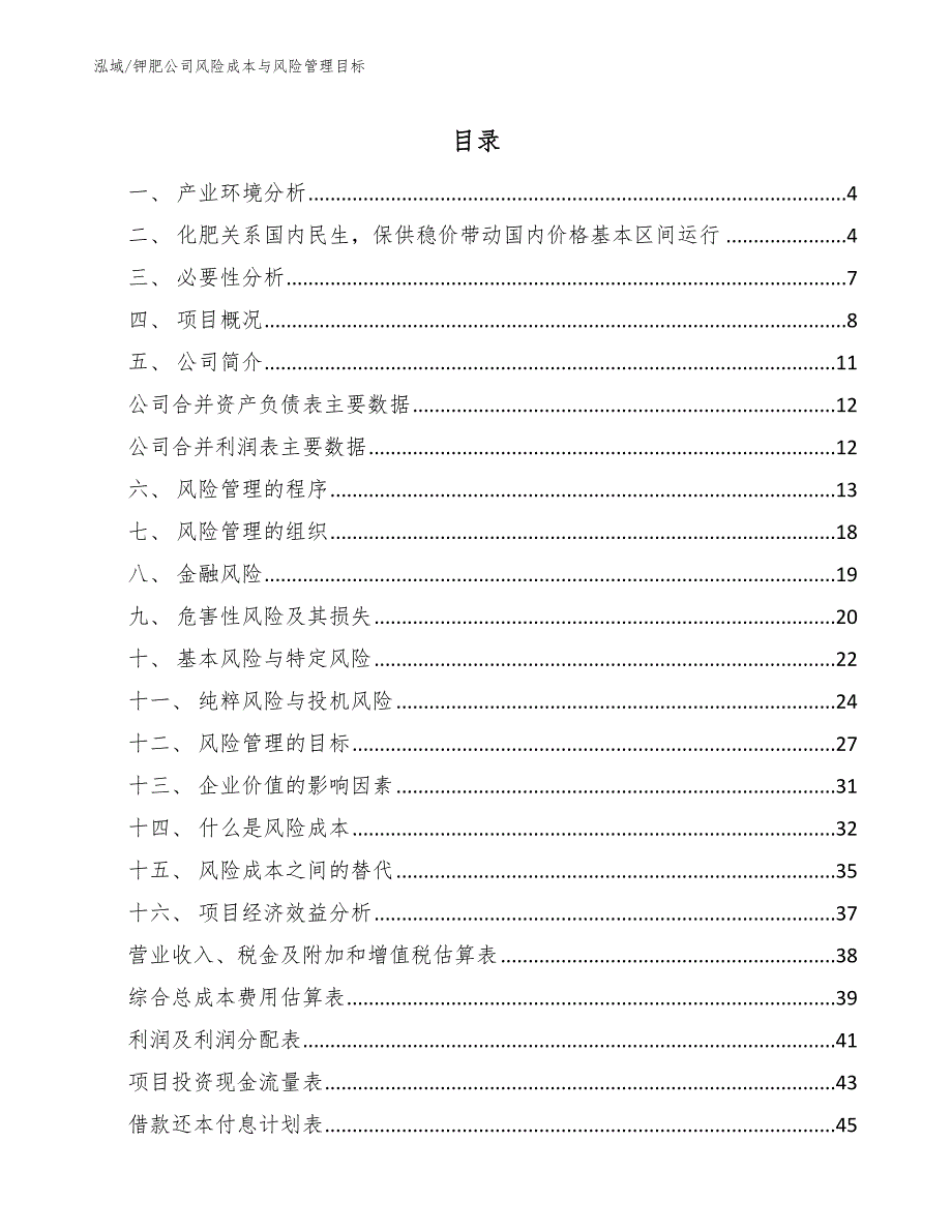 TV显示驱动公司风险管理方案（范文） (7)_第2页