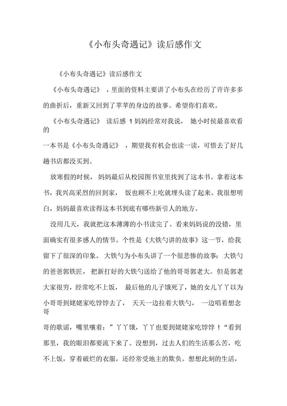 《小布头奇遇记》读后感作文_第1页