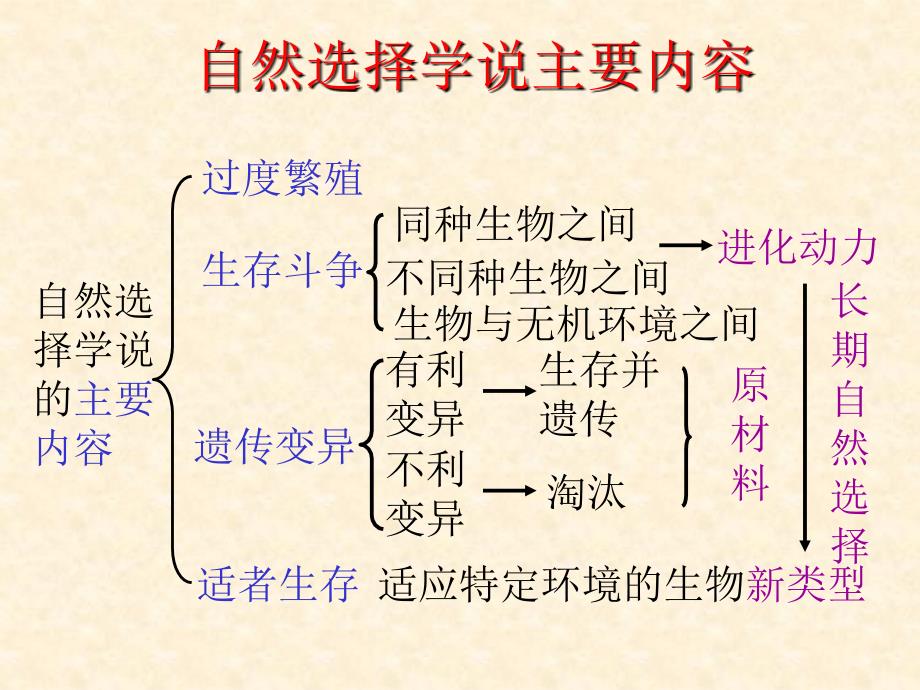 生物高中必修2第七章第二节课件1_第4页