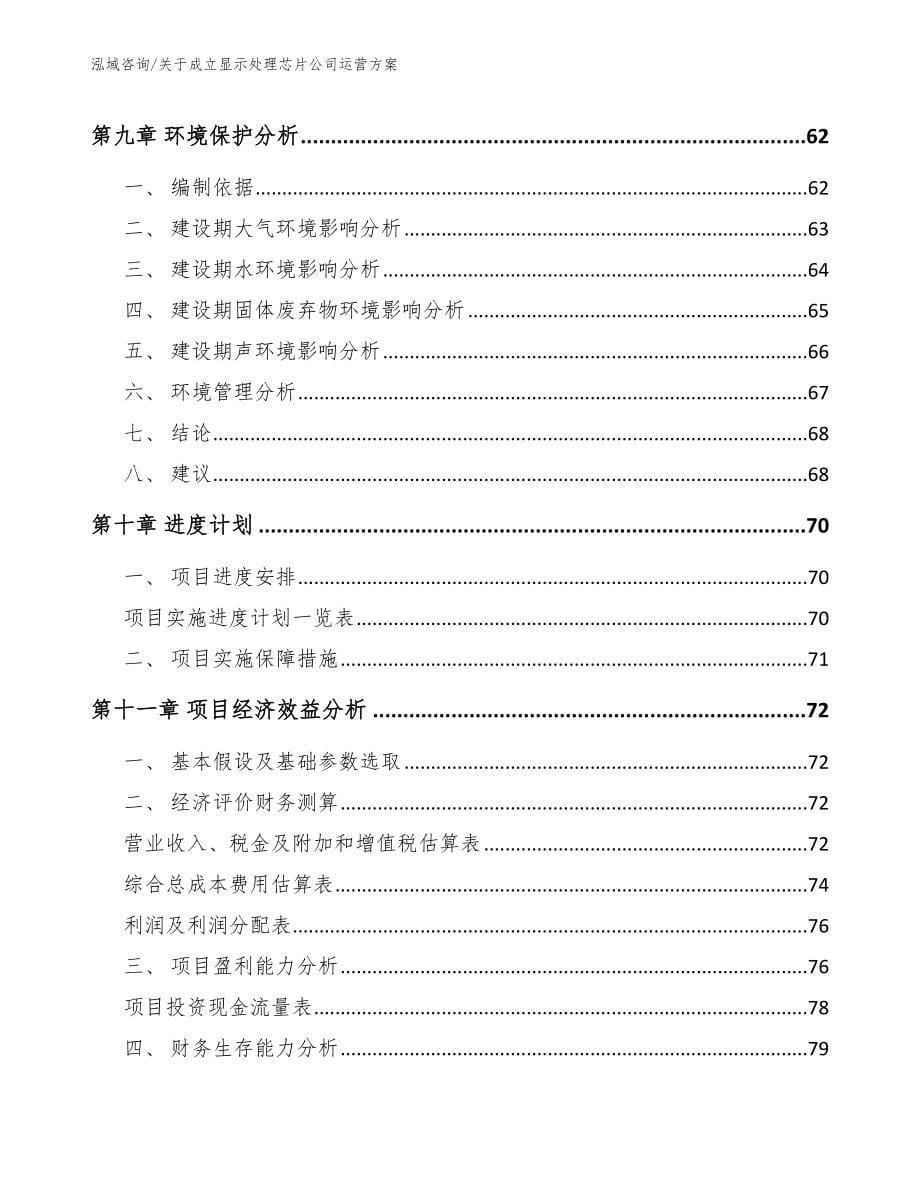 关于成立显示处理芯片公司运营方案_模板范文_第5页