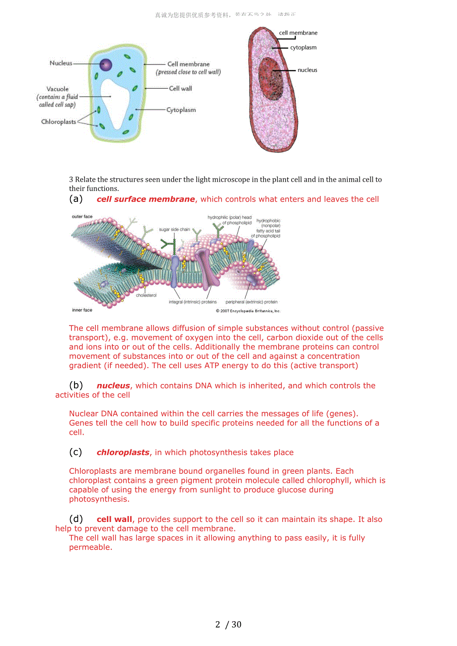 IGCSE Biology(生物)_第2页