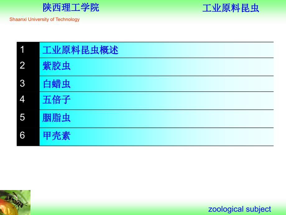 资源昆虫学工业原料昆虫介绍课件_第1页