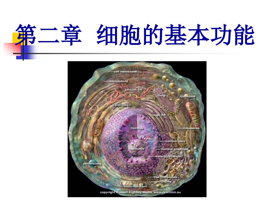 第二章鱼类生理学细胞的基本功能gai_第1页