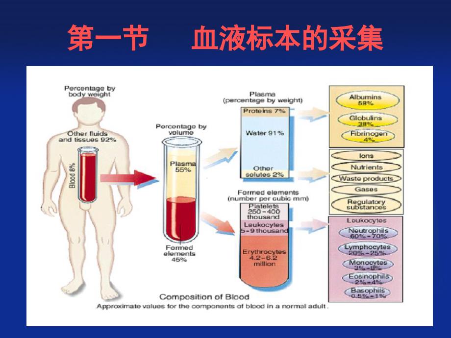 血液标本的采集和处理_第4页