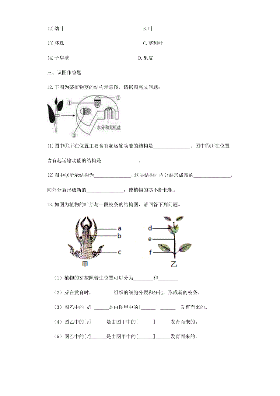 精选类七年级生物上册3.5.4植物茎的输导功能同步测试无答案新版苏教版通用_第3页