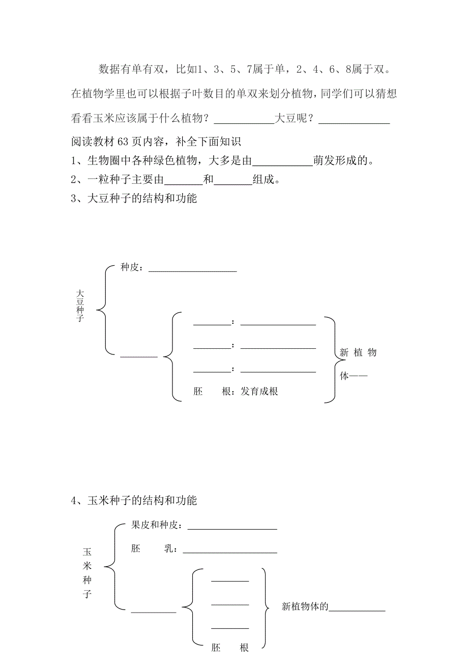 生物《植物种子萌发》导学案.doc_第4页