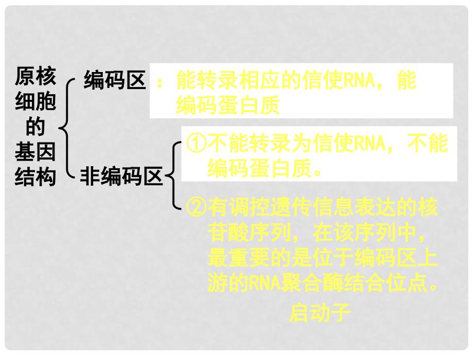 黑龙江省大庆外国语学校高中生物《1.2 基因工程的基本操作程序》课件 新人教版选修3_第3页