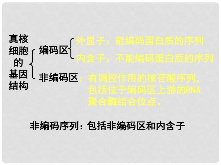 黑龙江省大庆外国语学校高中生物《1.2 基因工程的基本操作程序》课件 新人教版选修3_第5页