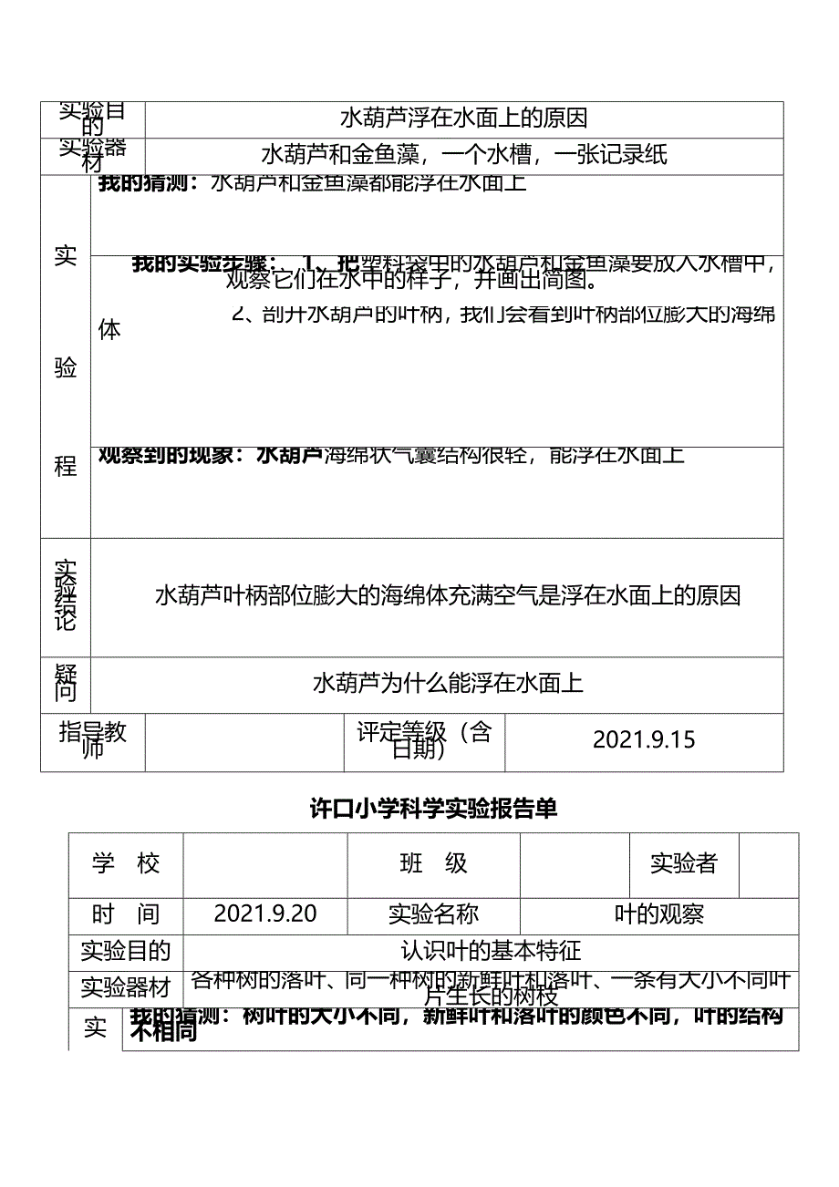 教科版三年级上册科学实验报告单(完整版)资料_第4页