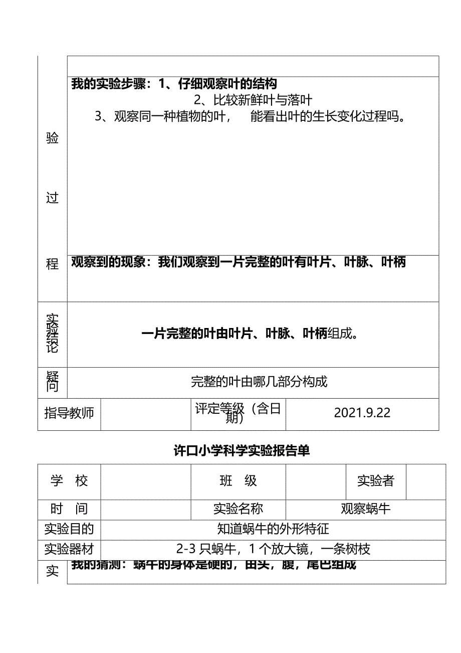 教科版三年级上册科学实验报告单(完整版)资料_第5页