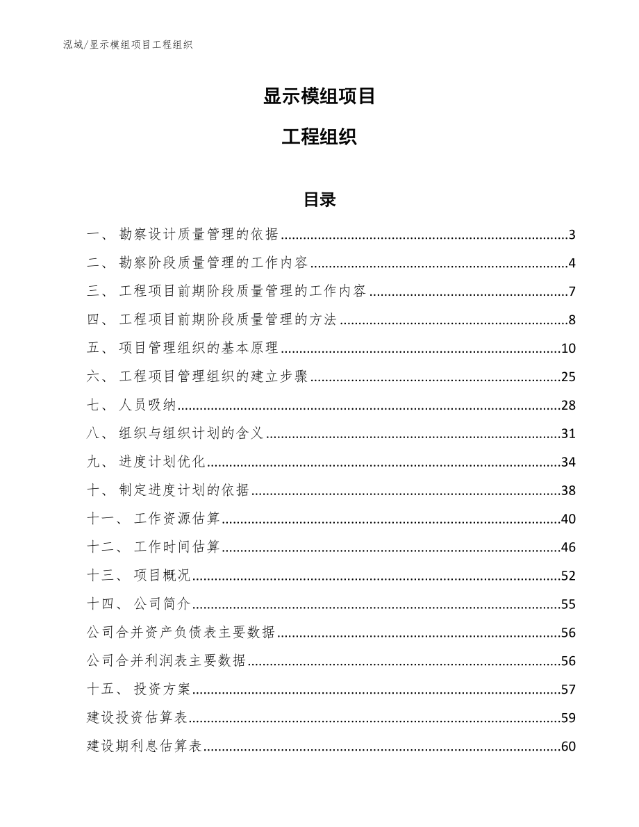 显示模组项目工程组织_第1页