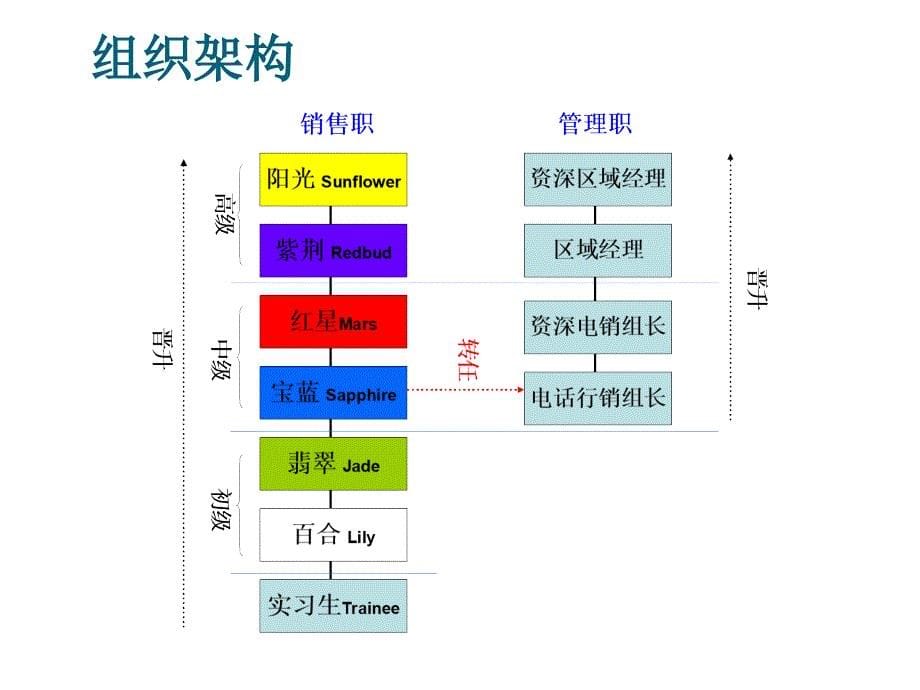 阳光电销基本法-TMR(岗前培训).ppt_第5页