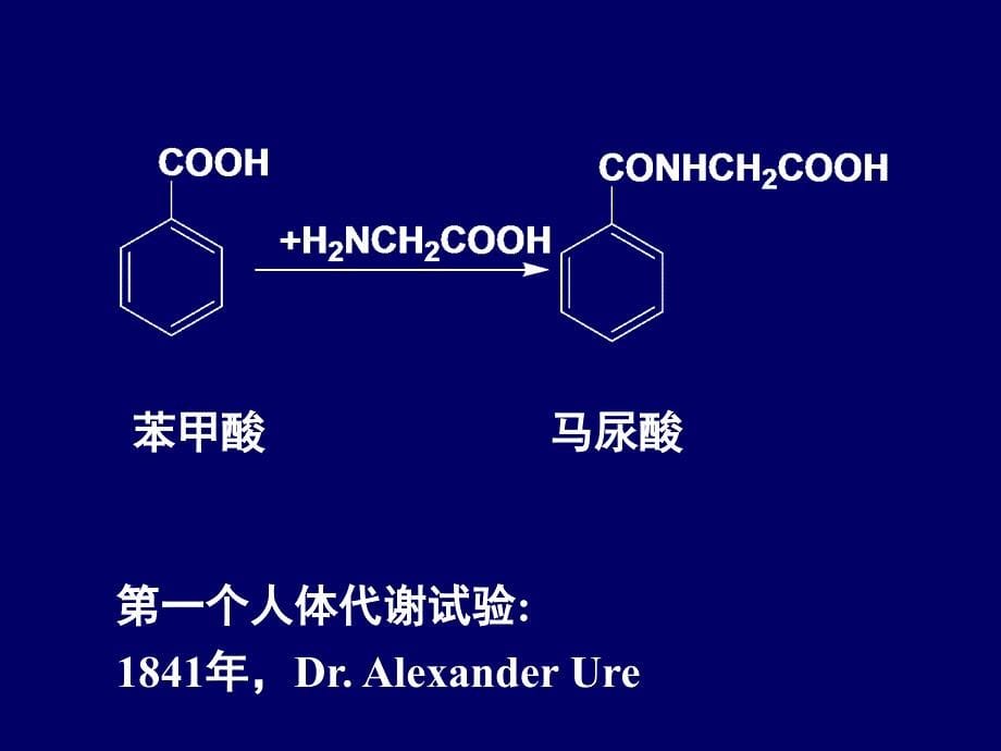 医学课件第五部分药物代谢教学课件_第5页