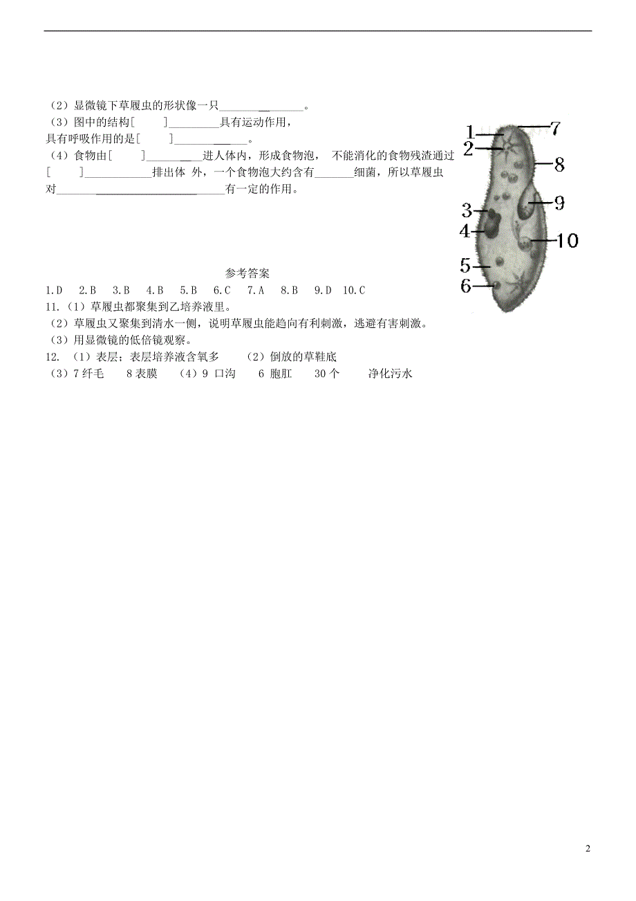 七年级生物上册 2.2.4 单细胞生物同步练习 （新版）新人教版_第2页