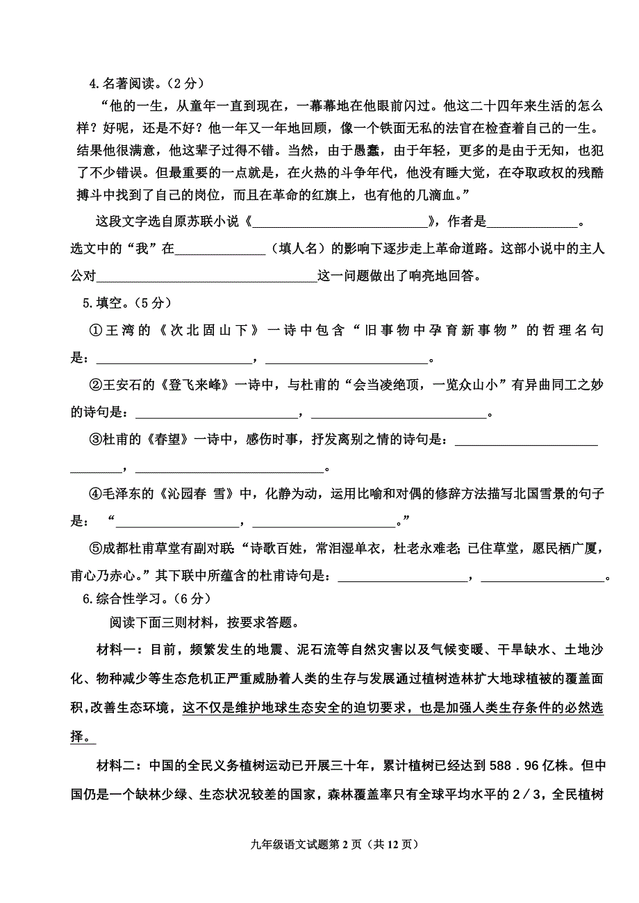 中考模拟语文试题.doc_第2页