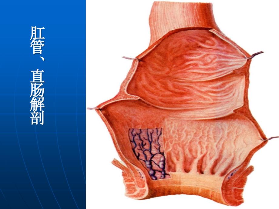 直肠肛管疾病病人的护理_第4页