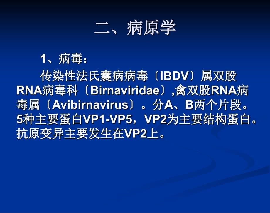 IBDV传染性法氏囊病_第5页