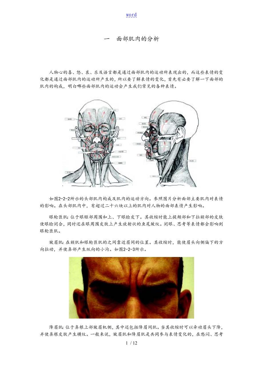 一面部肌肉地分析资料报告_第1页