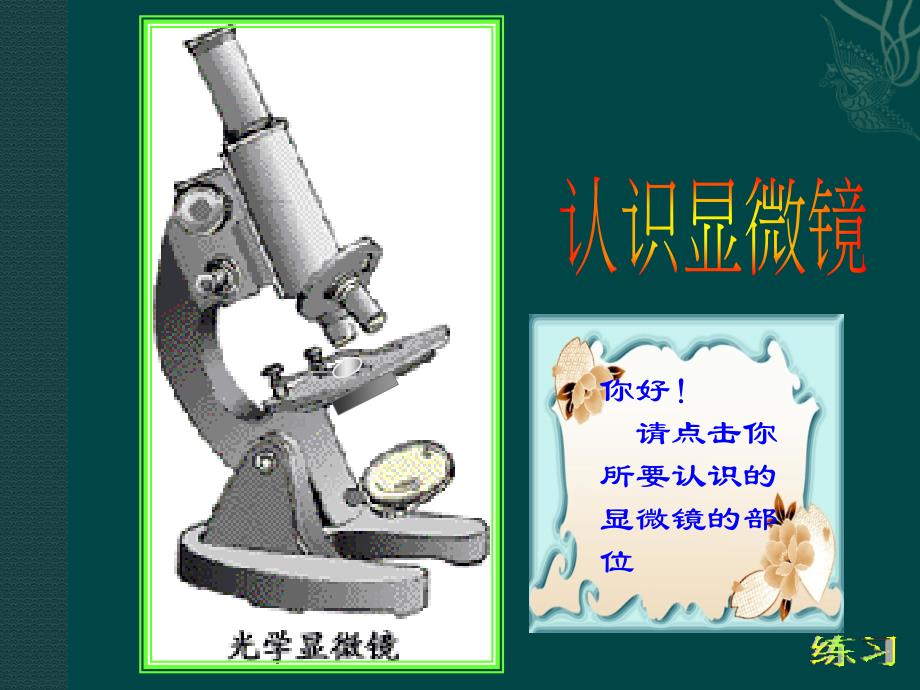 4显微镜的结构和使用ppt课件_第3页